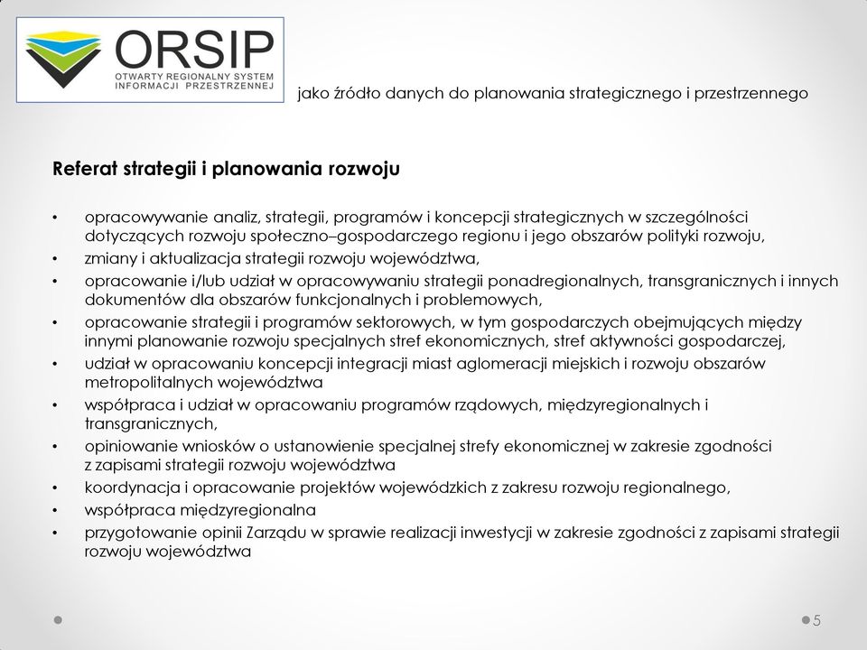 funkcjonalnych i problemowych, opracowanie strategii i programów sektorowych, w tym gospodarczych obejmujących między innymi planowanie rozwoju specjalnych stref ekonomicznych, stref aktywności