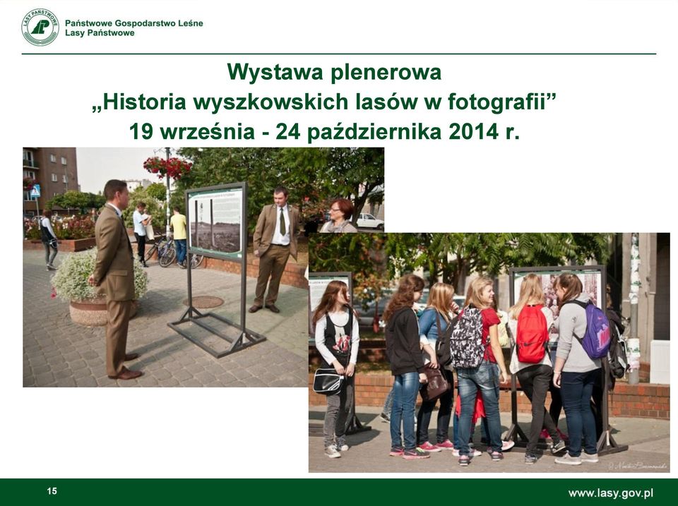 lasów w fotografii 19