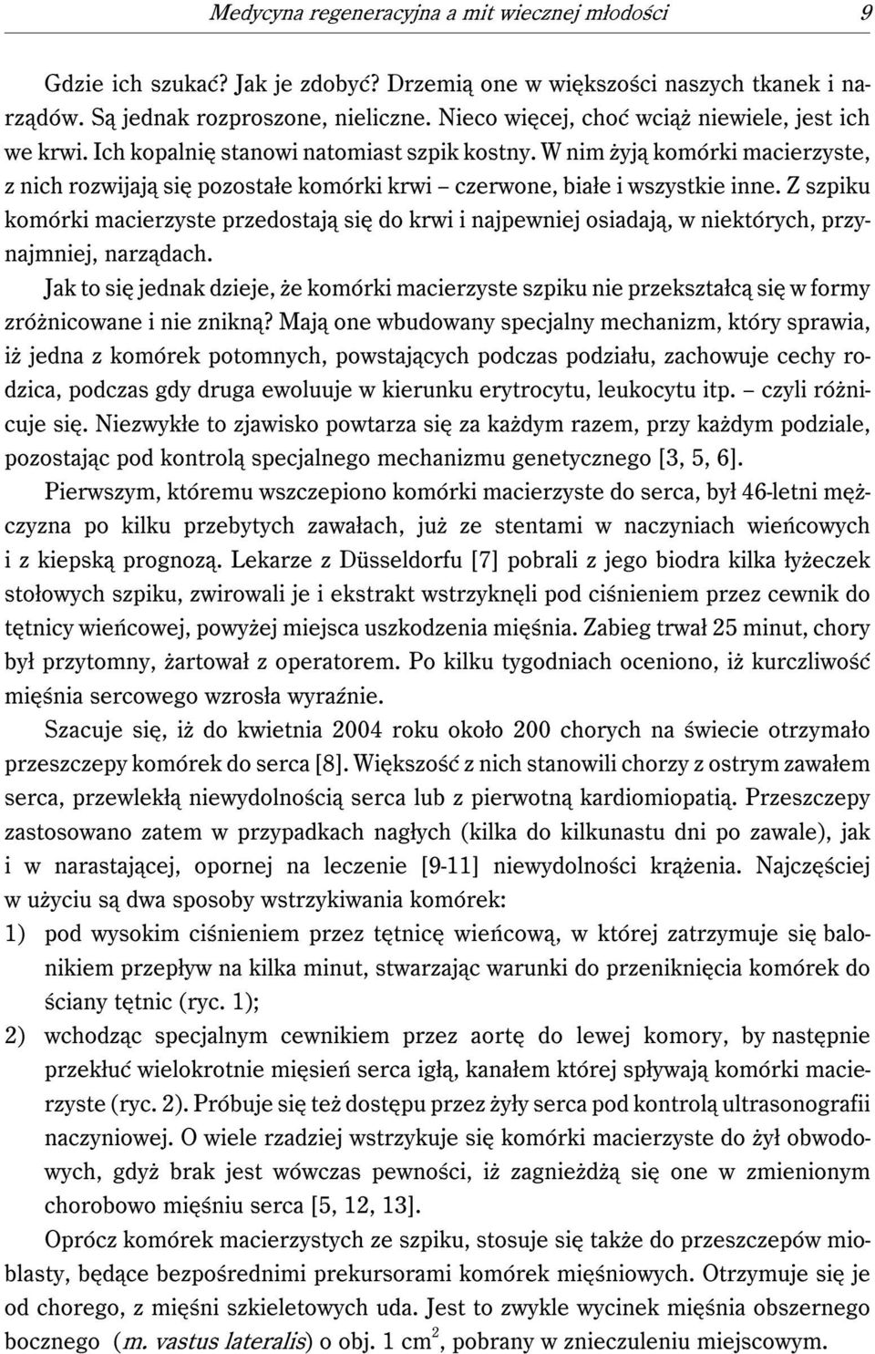 W nim żyją komórki macierzyste, z nich rozwijają się pozostałe komórki krwi czerwone, białe i wszystkie inne.
