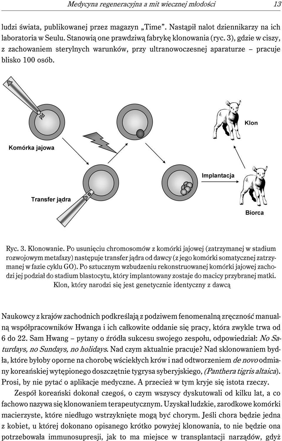 Po usunięciu chromosomów z komórki jajowej (zatrzymanej w stadium rozwojowym metafazy) następuje transfer jądra od dawcy (z jego komórki somatycznej zatrzymanej w fazie cyklu GO).