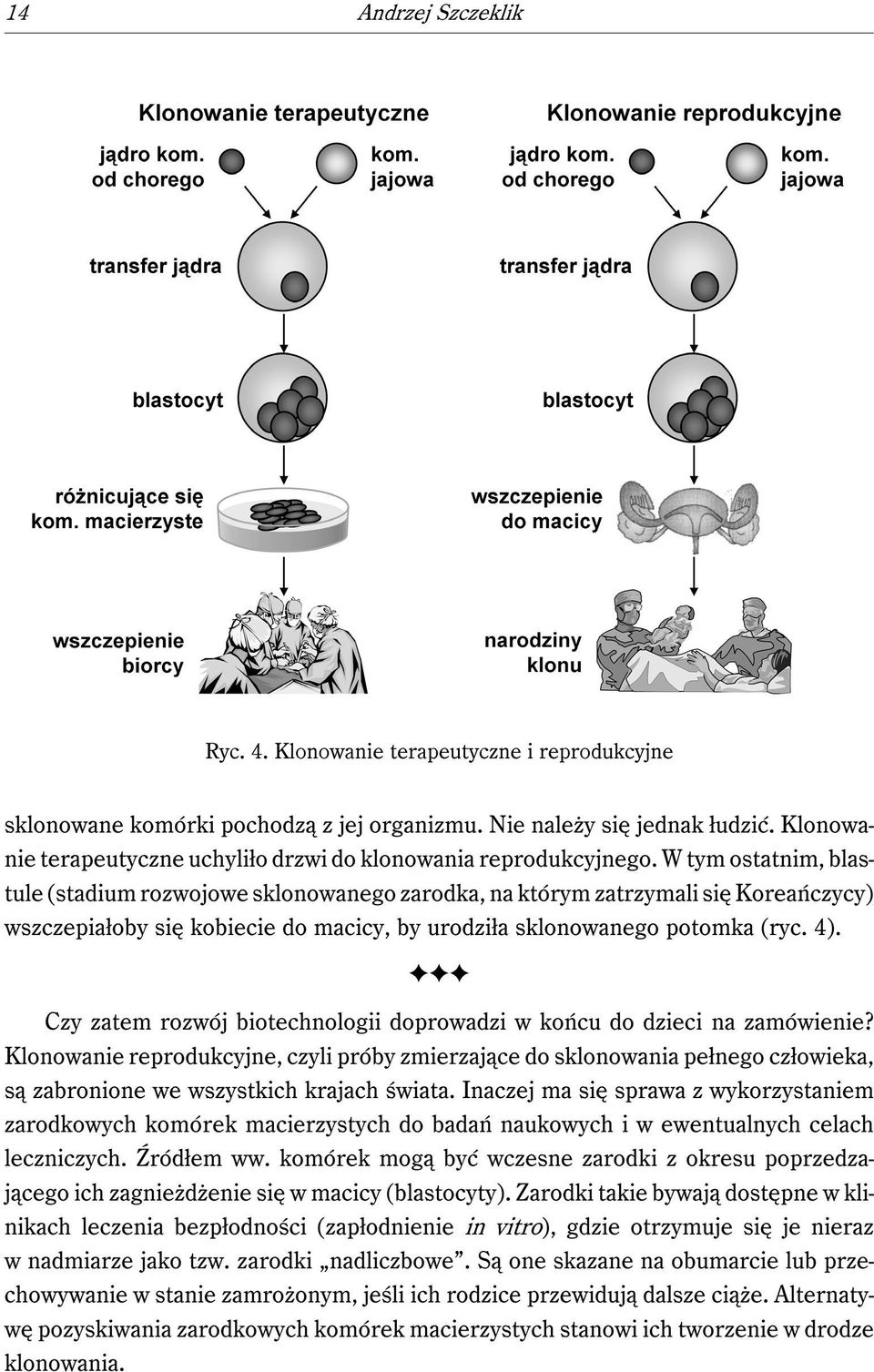 W tym ostatnim, blastule (stadium rozwojowe sklonowanego zarodka, na którym zatrzymali się Koreańczycy) wszczepiałoby się kobiecie do macicy, by urodziła sklonowanego potomka (ryc. 4).