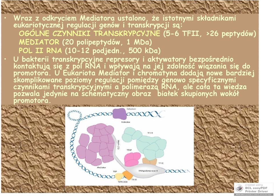 , 500 kda) U bakterii transkrypcyjne represory i aktywatory bezpośrednio kontaktują się z pol RNA i wpływają na jej zdolność wiązania się do promotora.