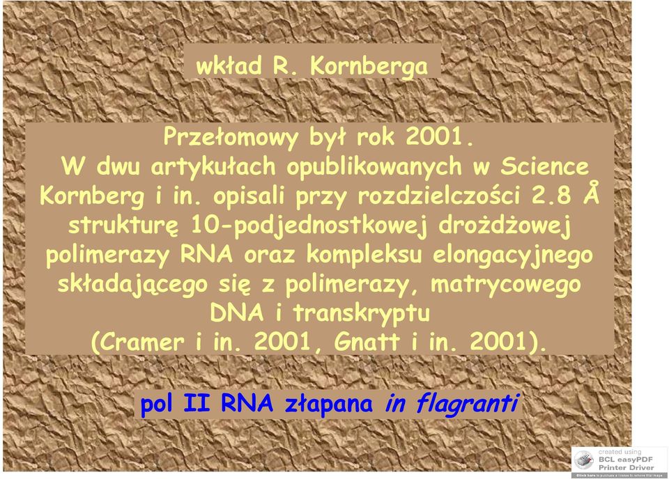 8 Å strukturę 10-podjednostkowej drożdżowej polimerazy RNA oraz kompleksu elongacyjnego
