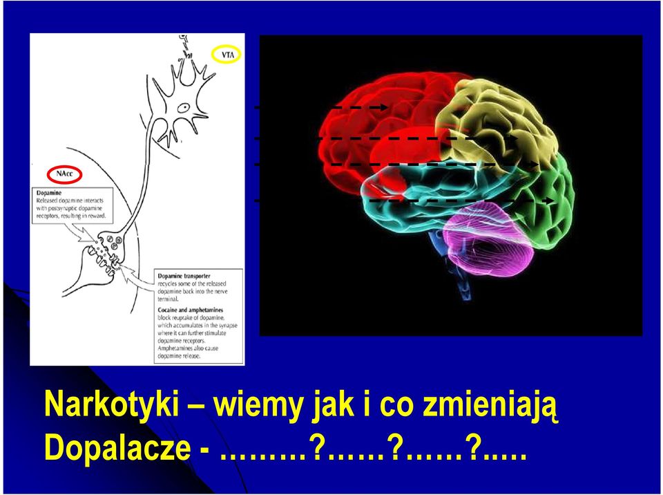Narkotyki wiemy jak i