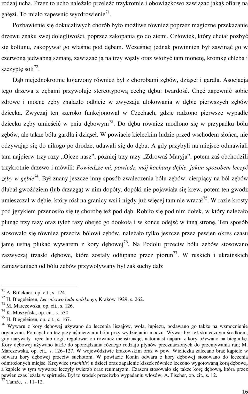 Człowiek, który chciał pozbyć się kołtunu, zakopywał go właśnie pod dębem.