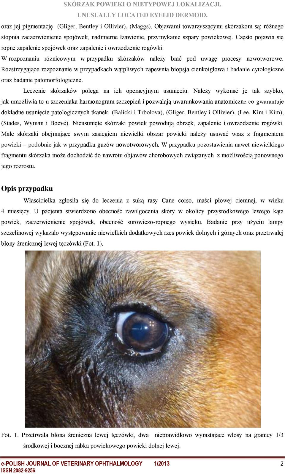 Rozstrzygające rozpoznanie w przypadkach wątpliwych zapewnia biopsja cienkoigłowa i badanie cytologiczne oraz badanie patomorfologiczne. Leczenie skórzaków polega na ich operacyjnym usunięciu.