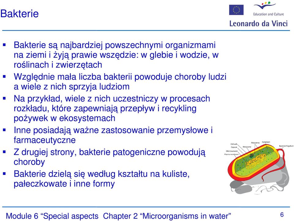 zapewniają przepływ i recykling pożywek w ekosystemach Inne posiadają ważne zastosowanie przemysłowe i farmaceutyczne Z drugiej strony, bakterie