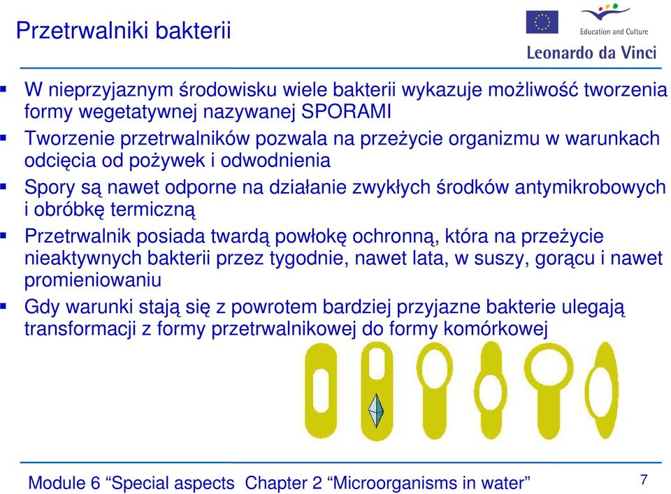 Przetrwalnik posiada twardą powłokę ochronną, która na przeżycie nieaktywnych bakterii przez tygodnie, nawet lata, w suszy, gorącu i nawet promieniowaniu Gdy warunki