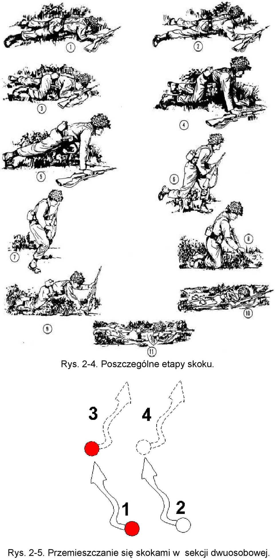skoku. Rys. 25.