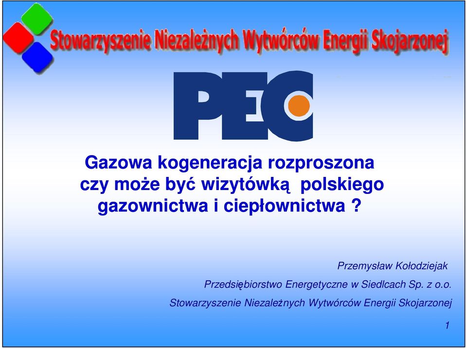 Przemysław Kołodziejak Przedsiębiorstwo Energetyczne w