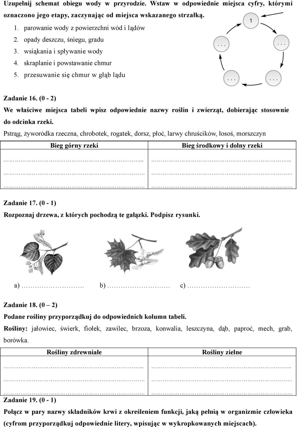 (0-2) We właściwe miejsca tabeli wpisz odpowiednie nazwy roślin i zwierząt, dobierając stosownie do odcinka rzeki.