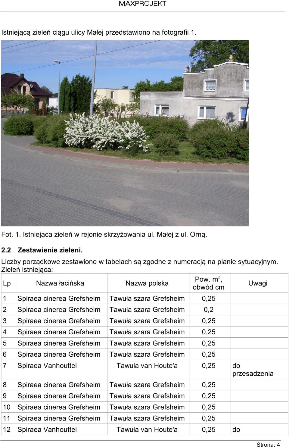 m², Lp Nazwa łacińska Nazwa polska Uwagi obwód cm 1 Spiraea cinerea Grefsheim Tawuła szara Grefsheim 0,25 2 Spiraea cinerea Grefsheim Tawuła szara Grefsheim 0,2 3 Spiraea cinerea Grefsheim Tawuła