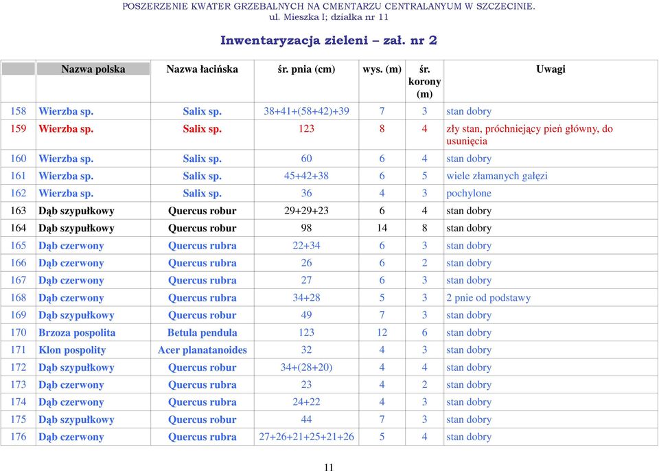 45+42+38 6 5 wiele złamanych gałęzi 162 Wierzba sp. Salix sp.