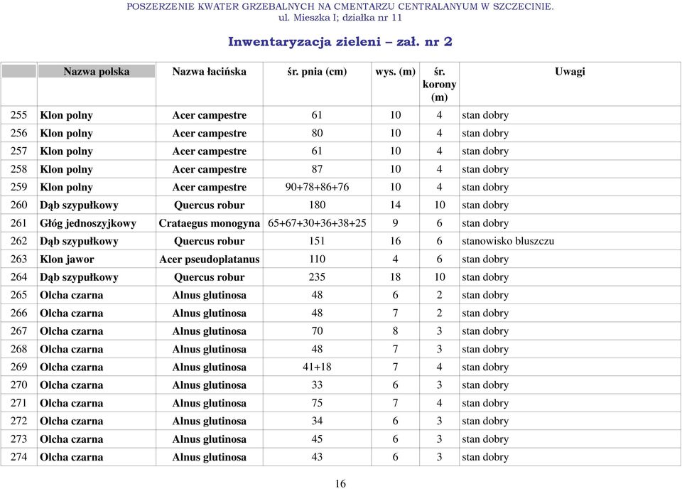 255 Klon polny Acer campestre 61 10 4 stan dobry 256 Klon polny Acer campestre 80 10 4 stan dobry 257 Klon polny Acer campestre 61 10 4 stan dobry 258 Klon polny Acer campestre 87 10 4 stan dobry 259