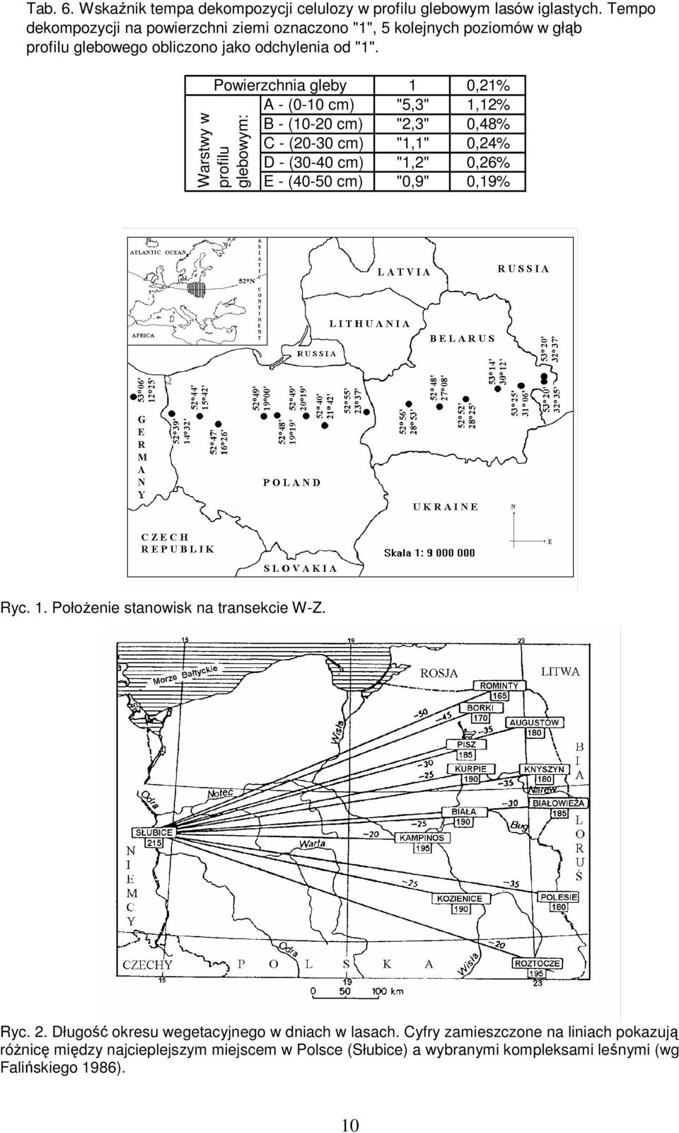 Powierzchnia gleby 1 0,21% A - (0-10 cm) "5,3" 1,12% B - (10-20 cm) "2,3" 0,48% C - (20-30 cm) "1,1" 0,24% D - (30-40 cm) "1,2" 0,26% E - (40-50 cm) "0,9" 0,19%