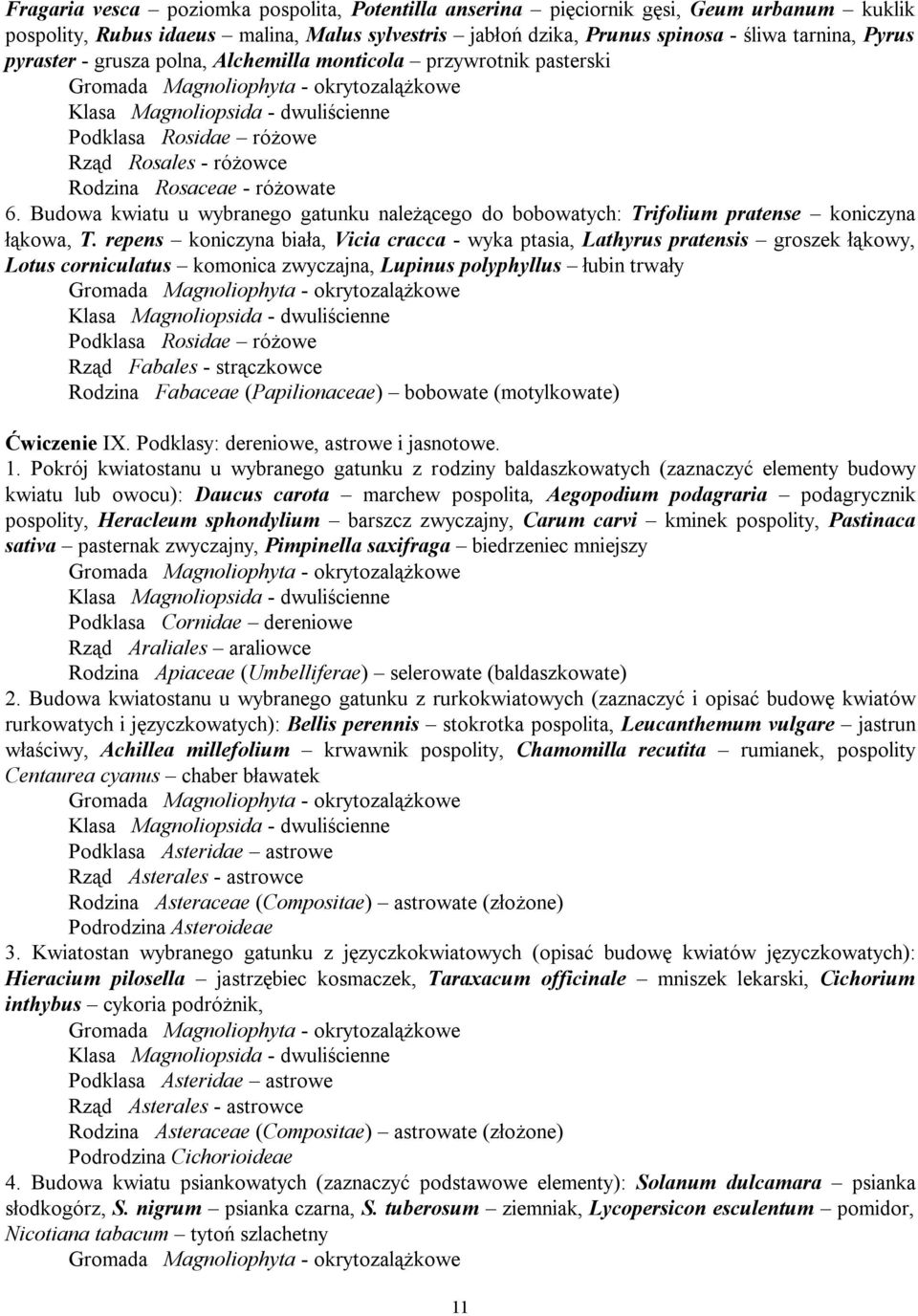 Budowa kwiatu u wybranego gatunku należącego do bobowatych: Trifolium pratense koniczyna łąkowa, T.