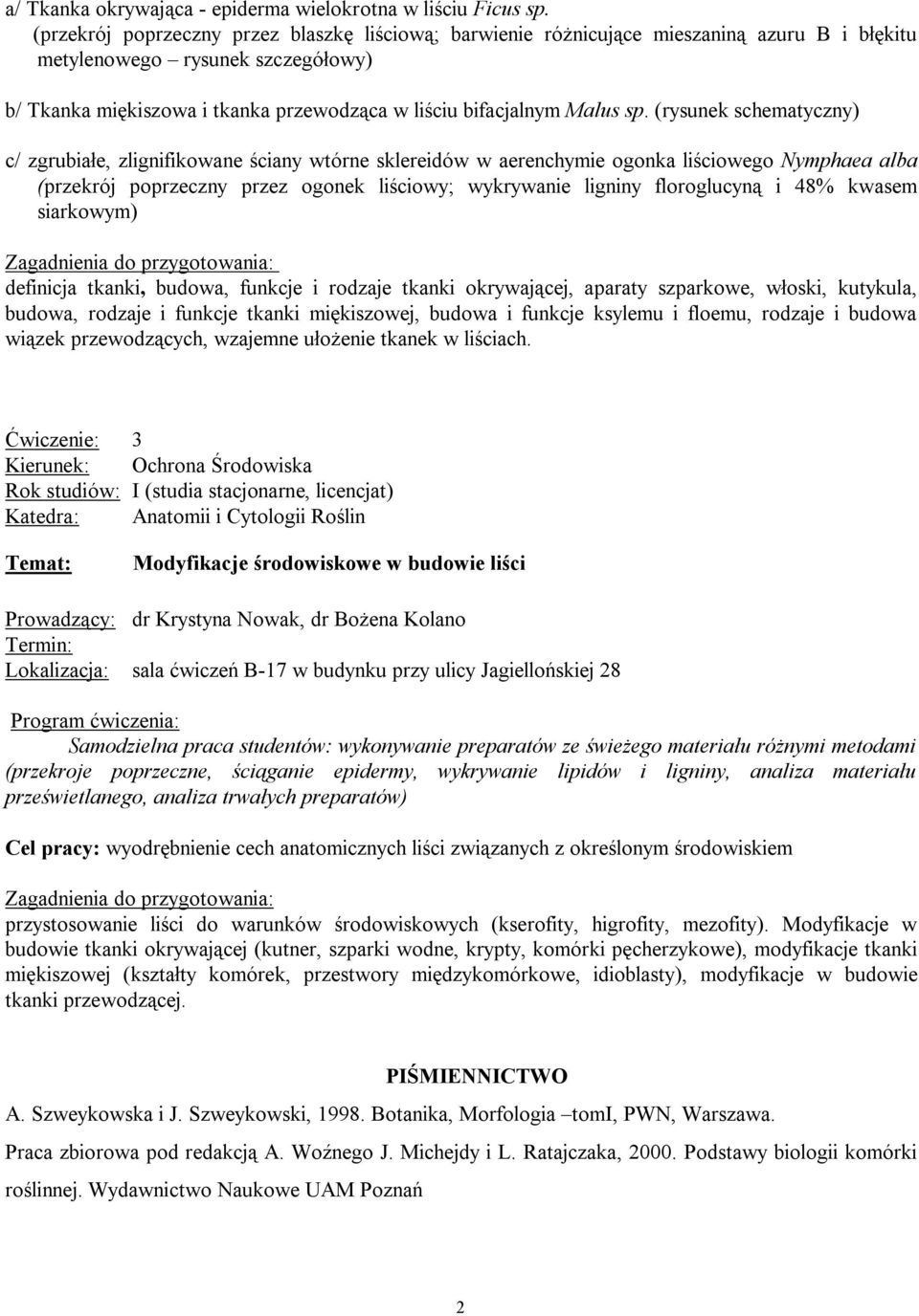 sp. (rysunek schematyczny) c/ zgrubiałe, zlignifikowane ściany wtórne sklereidów w aerenchymie ogonka liściowego Nymphaea alba (przekrój poprzeczny przez ogonek liściowy; wykrywanie ligniny