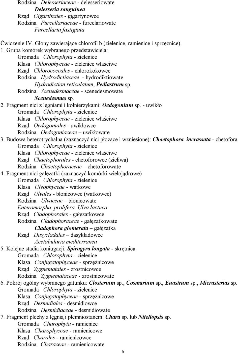 Grupa komórek wybranego przedstawiciela: Gromada Chlorophyta - zielenice Klasa Chlorophyceae - zielenice właściwe Rząd Chlorococcales - chlorokokowce Rodzina Hydrodictiaceae - hydrodiktiowate