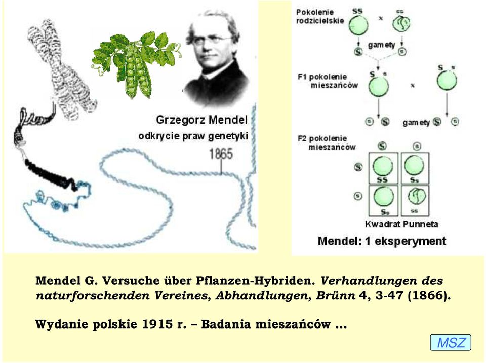 Vereines, Abhandlungen, Brünn 4, 3-47