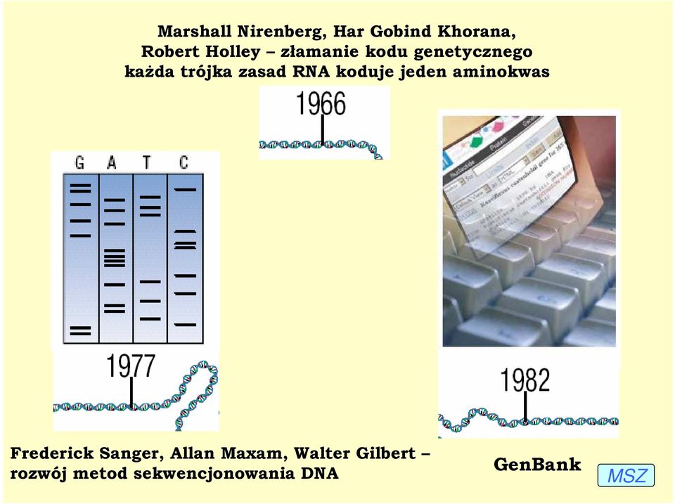 koduje jeden aminokwas Frederick Sanger, Allan Maxam,