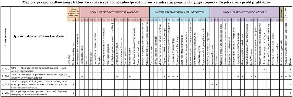 aktywnie kreować zdrowy styl życia i promocję zdrowia w trakcie działań związanych z wykonywanym