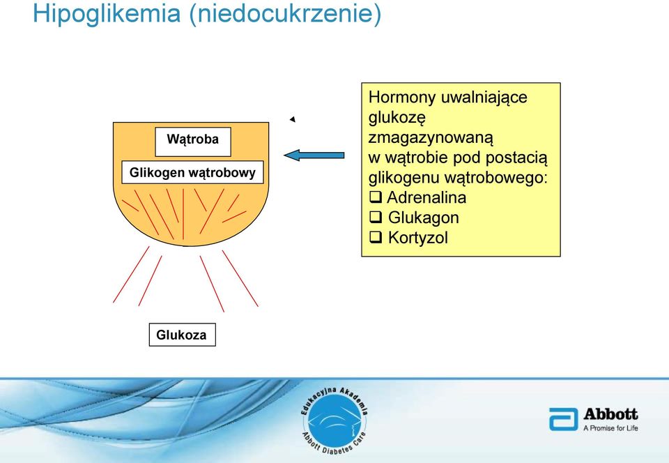 glukozę zmagazynowaną w wątrobie pod postacią