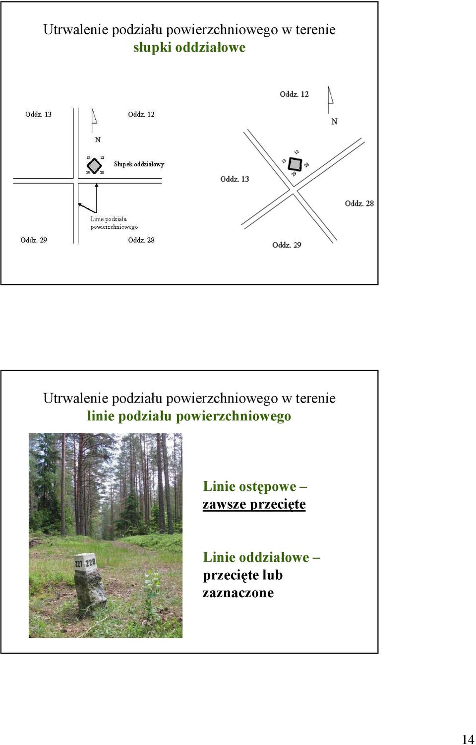 terenie linie podziału powierzchniowego Linie ostępowe