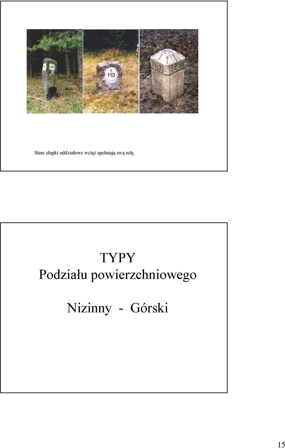 TYPY Podziału