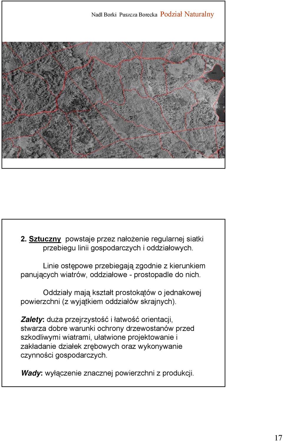 Oddziały mają kształt prostokątów o jednakowej powierzchni (z wyjątkiem oddziałów skrajnych).