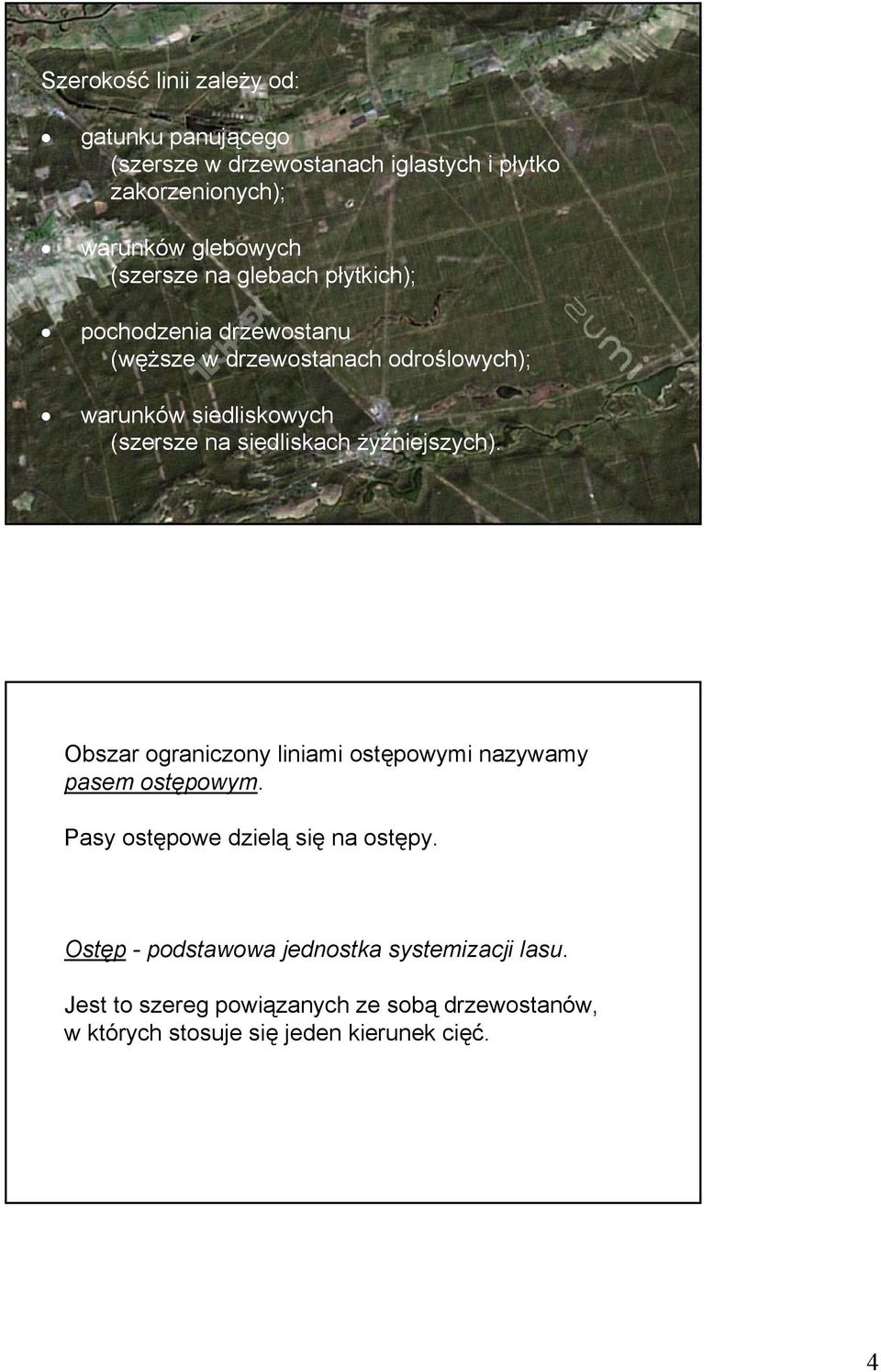 siedliskach żyźniejszych). Obszar ograniczony liniami ostępowymi nazywamy pasem ostępowym. Pasy ostępowe dzielą się na ostępy.