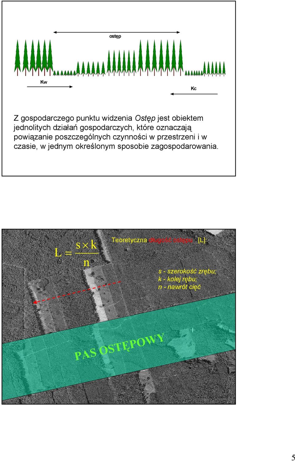 w czasie, w jednym określonym sposobie zagospodarowania.