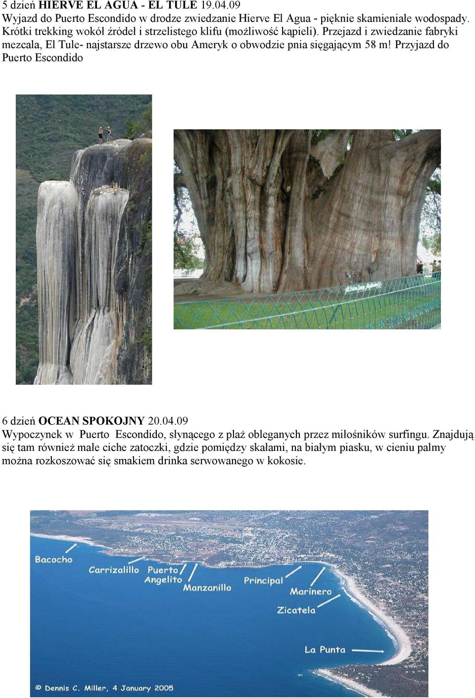 Przejazd i zwiedzanie fabryki mezcala, El Tule- najstarsze drzewo obu Ameryk o obwodzie pnia sięgającym 58 m!