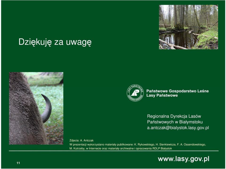 Antczak W prezentacji wykorzystano materiały publikowane: K. Rykowskiego, H.