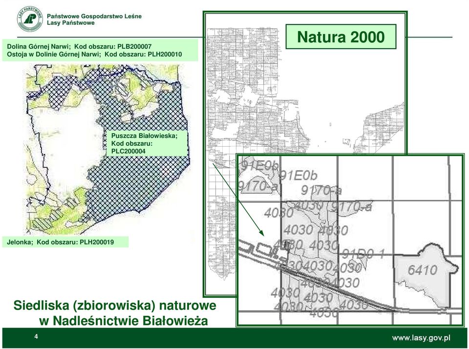 Białowieska; Kod obszaru: PLC200004 Jelonka; Kod obszaru: