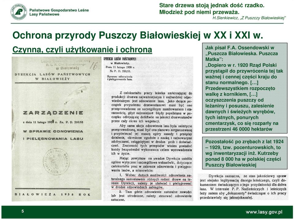 [ ] Przedewszystkiem rozpoczęto walkę z kornikiem, [ ] oczyszczenia puszczy od leżaniny i posuszu, zalesienie dawnych i świeżych wyrębów, tych istnych, ponurych cmentarzysk, co