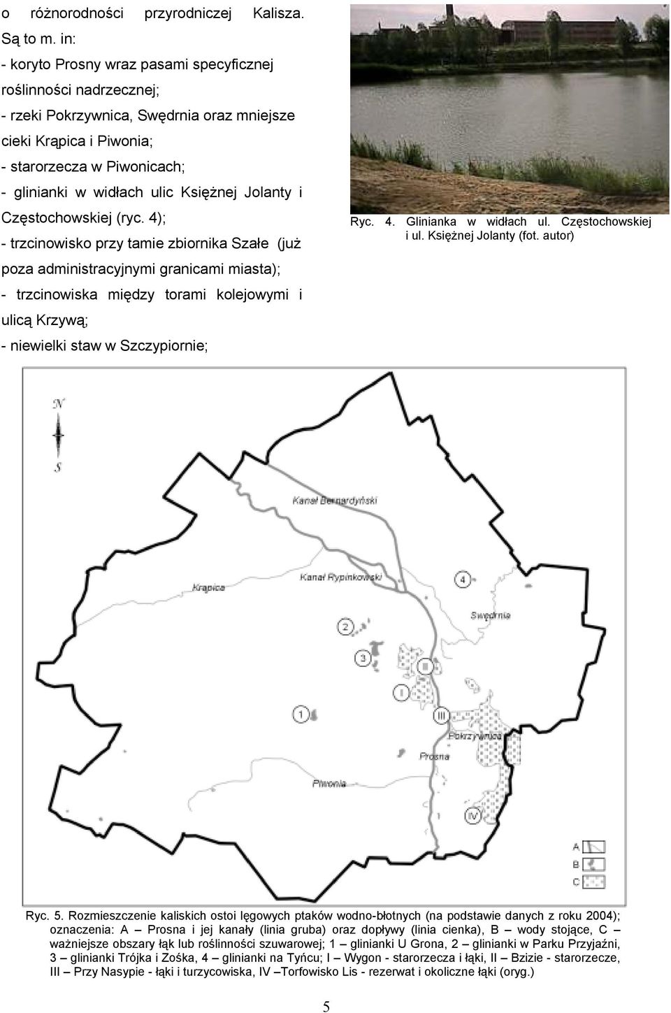 Księżnej Jolanty i Częstochowskiej (ryc.