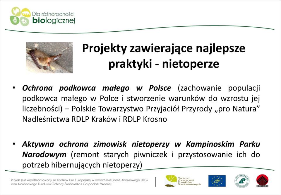 Przyjaciół Przyrody pro Natura Nadleśnictwa RDLP Kraków i RDLP Krosno Aktywna ochrona zimowisk nietoperzy