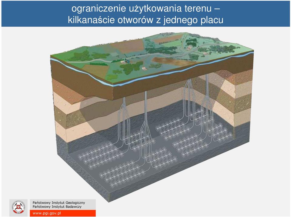 terenu