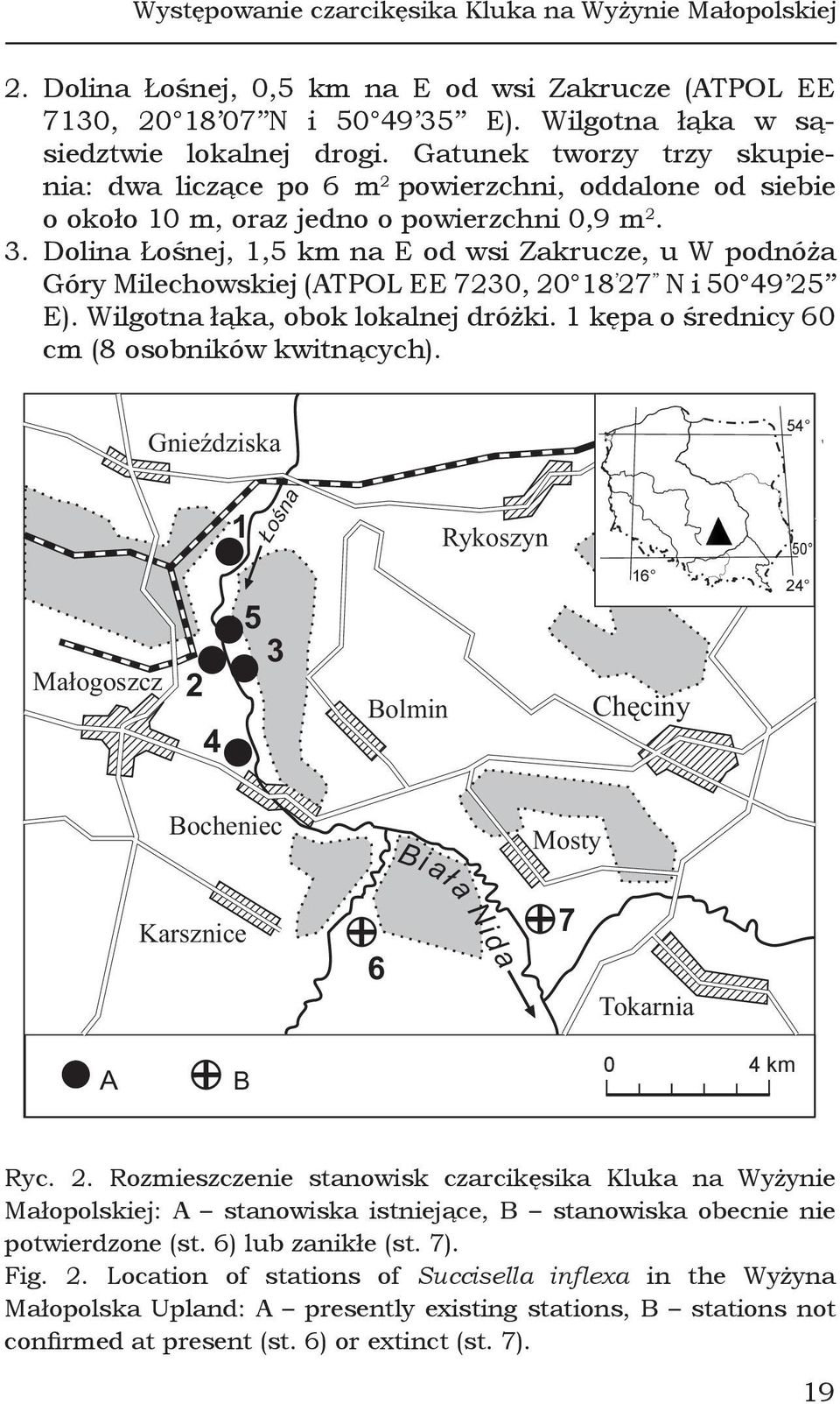 Dolina Łośnej, 1,5 km na E od wsi Zakrucze, u W podnóża Góry Milechowskiej (ATPOL EE 7230, 20 18 27 N i 50 49 25 E). Wilgotna łąka, obok lokalnej dróżki.