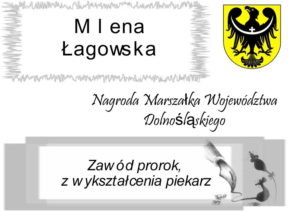 Województwa