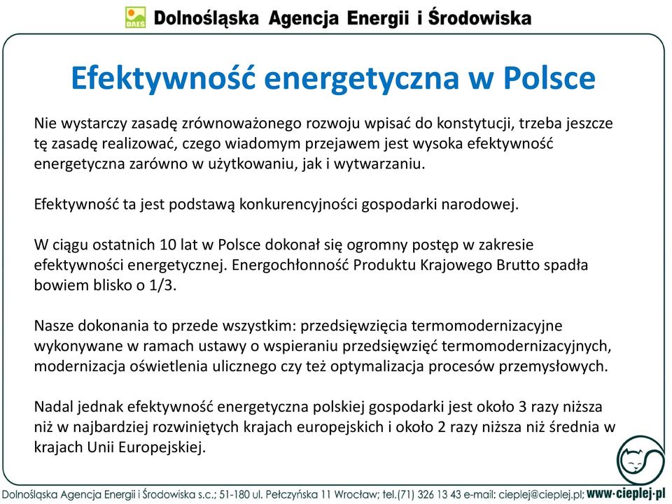 W ciągu ostatnich 10 lat w Polsce dokonał się ogromny postęp w zakresie efektywności energetycznej. Energochłonność Produktu Krajowego Brutto spadła bowiem blisko o 1/3.
