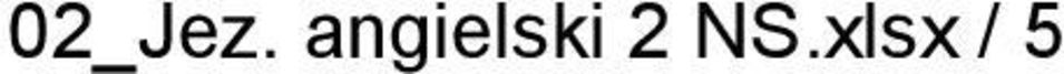 NS.xlsx /