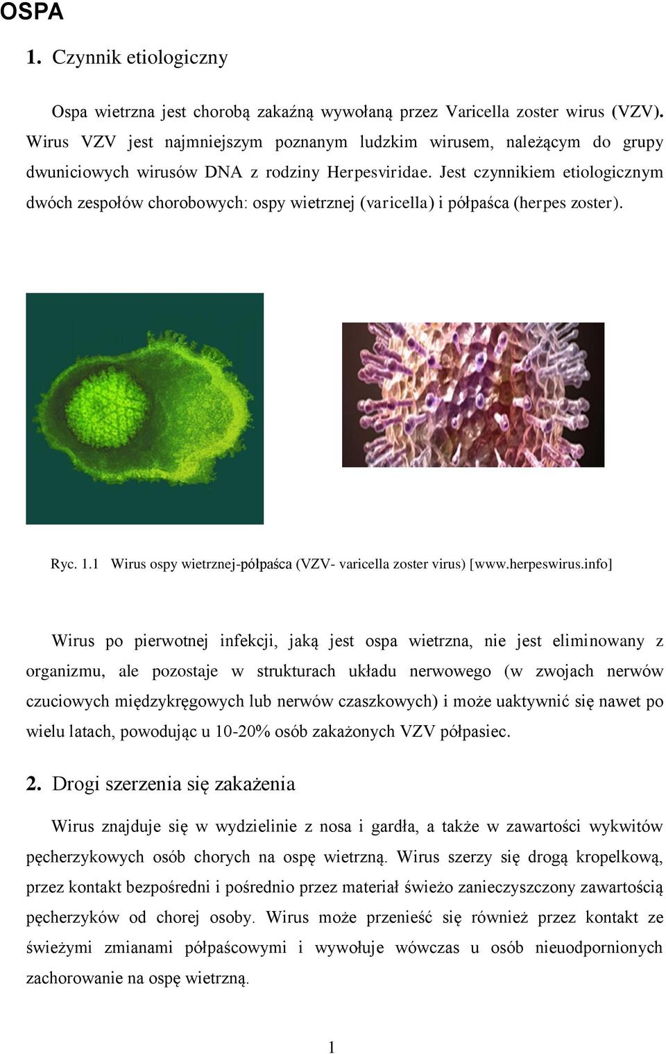 Jest czynnikiem etiologicznym dwóch zespołów chorobowych: ospy wietrznej (varicella) i półpaśca (herpes zoster). Ryc. 1.1 Wirus ospy wietrznej-półpaśca (VZV- varicella zoster virus) [www.herpeswirus.