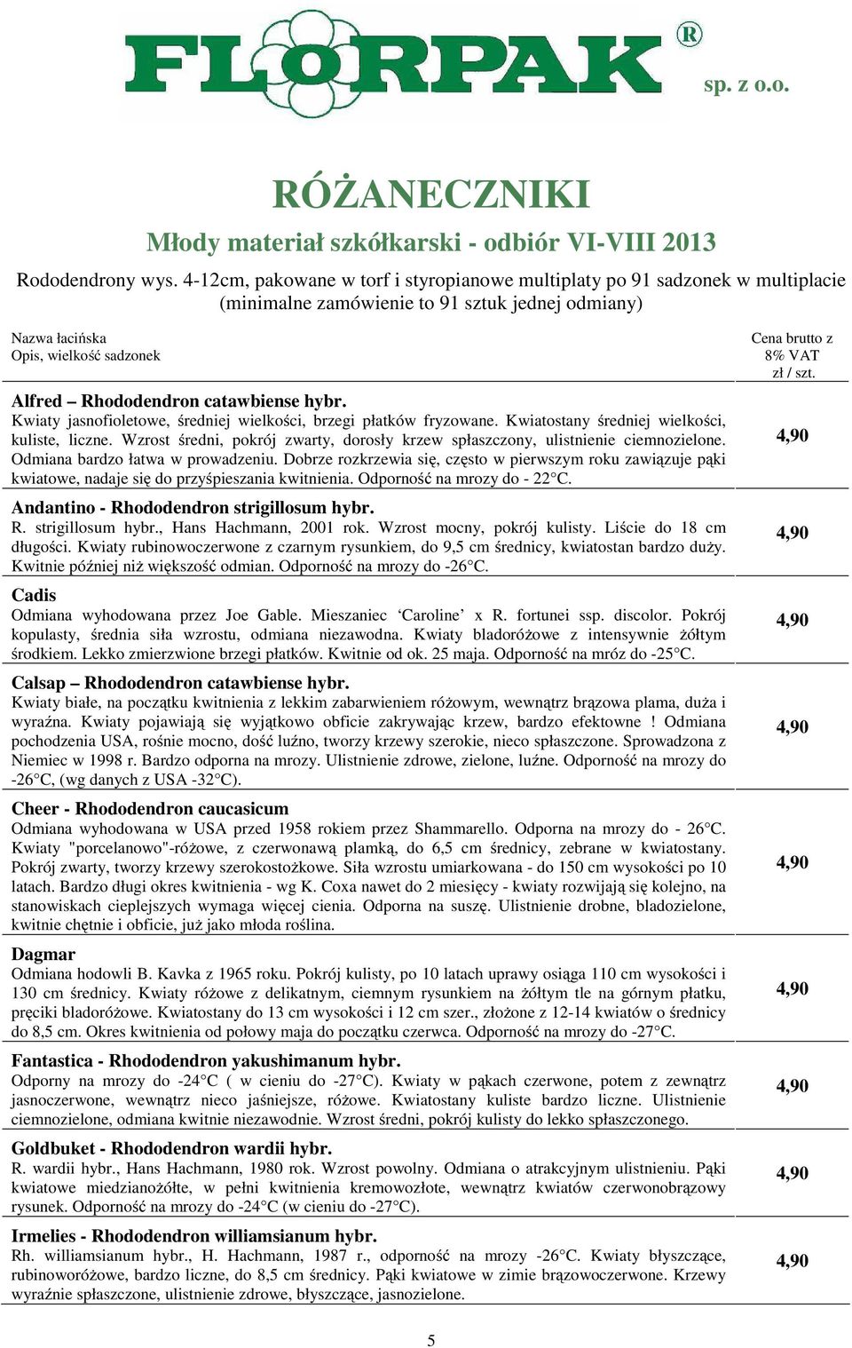 hybr. Kwiaty jasnofioletowe, średniej wielkości, brzegi płatków fryzowane. Kwiatostany średniej wielkości, kuliste, liczne.