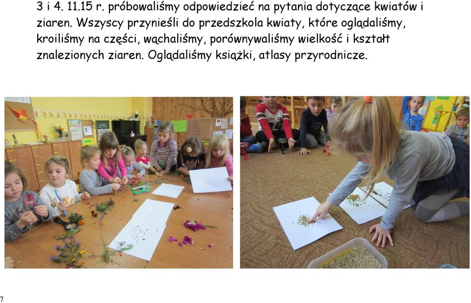 Wszyscy przynieśli do przedszkola kwiaty, które oglądaliśmy,