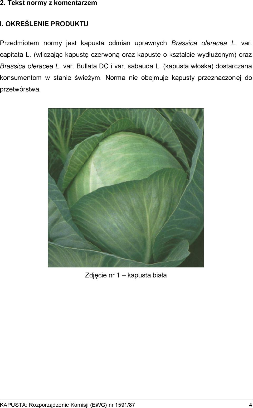 (wliczając kapustę czerwoną oraz kapustę o kształcie wydłużonym) oraz Brassica oleracea L. var. Bullata DC i var.