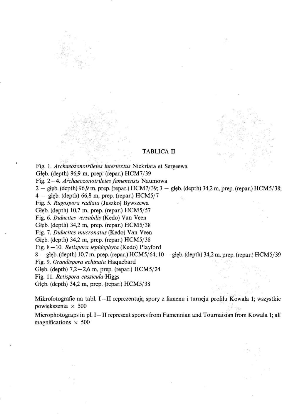 (depth) 34,2 m, prep. (repar.) HCMS/38 Fig. 7. Diducites mucronatus (Kedo) Van Veen Gb. (depth) 34,2 m, prep. (repar.) HCMS/38 Fig. 8-1. Retispora lepidophyta (Kedo) Playford 8 - glb.