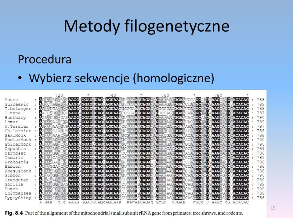 sekwencje