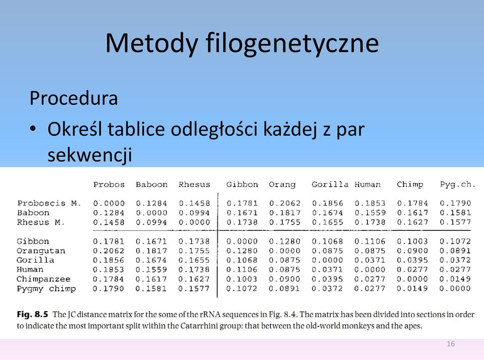 odległości