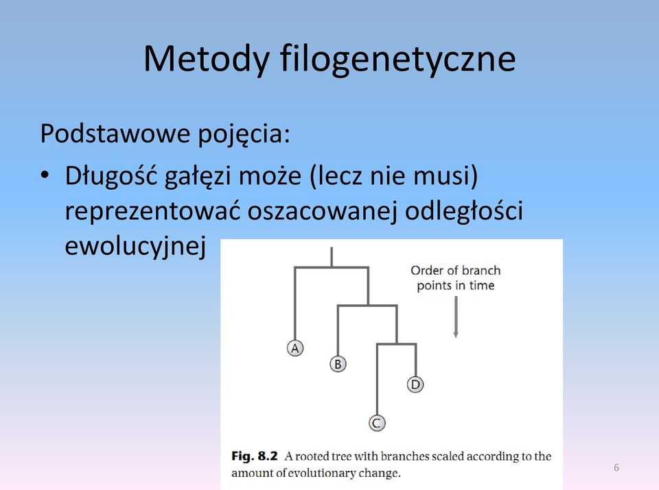 nie musi) reprezentowad